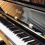 Essex sicht aus den Klavier Marken durch die hohe Leistung hervor.